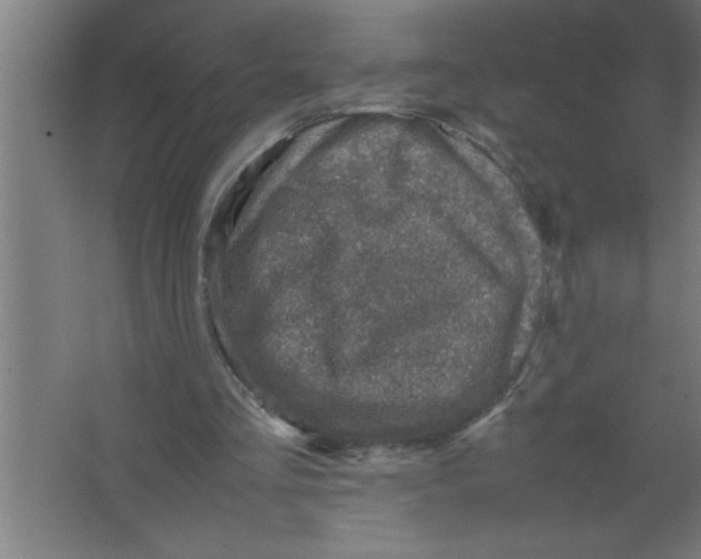 X0000067460293200604281835