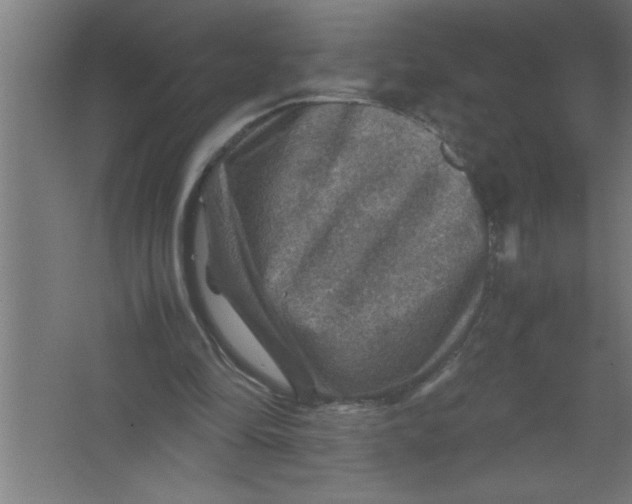 X0000067460294200604281835