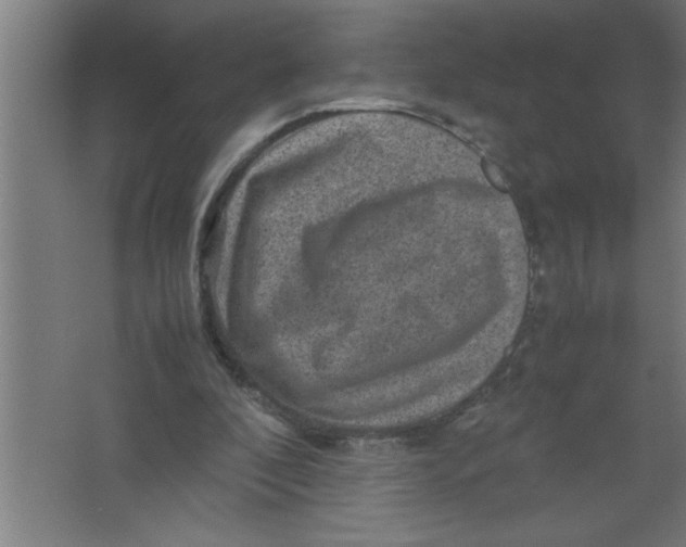 X0000067460296200604281835