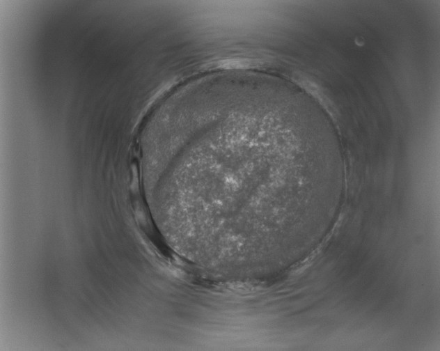 X0000067460297200604281835