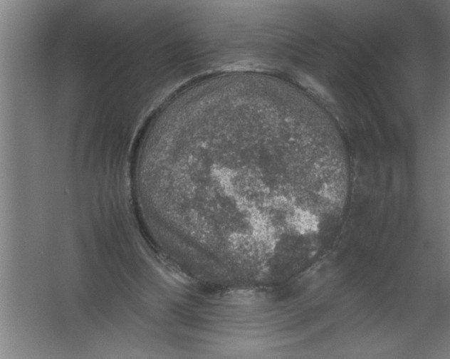 X0000067460298200604281835