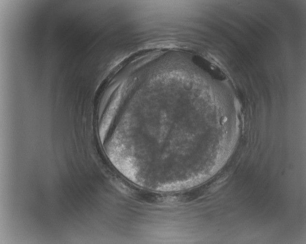 X0000067460301200604281835