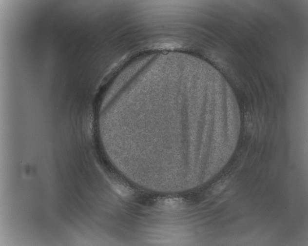 X0000067460304200604281835