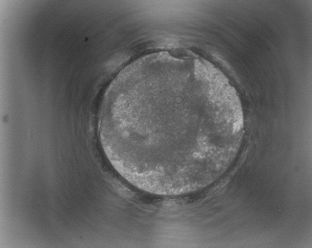 X0000067460305200604281835