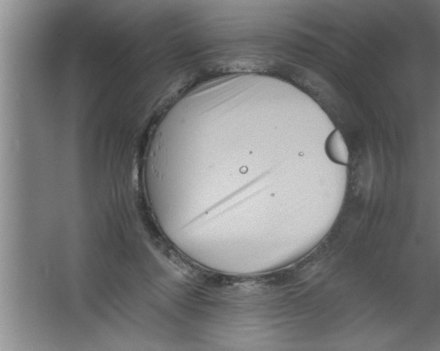 X0000067460310200604281835