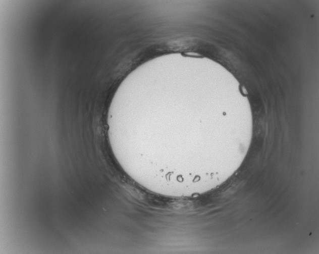 X0000067460317200604281835