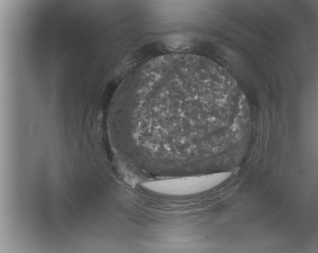 X0000067460319200604281835