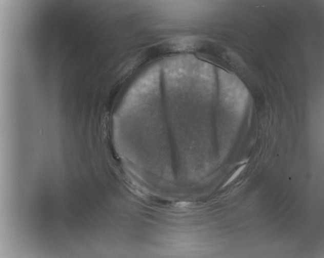 X0000067460325200604281835