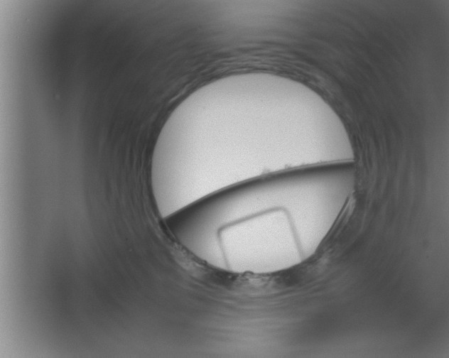 X0000067460329200604281835