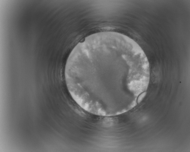 X0000067460330200604281835