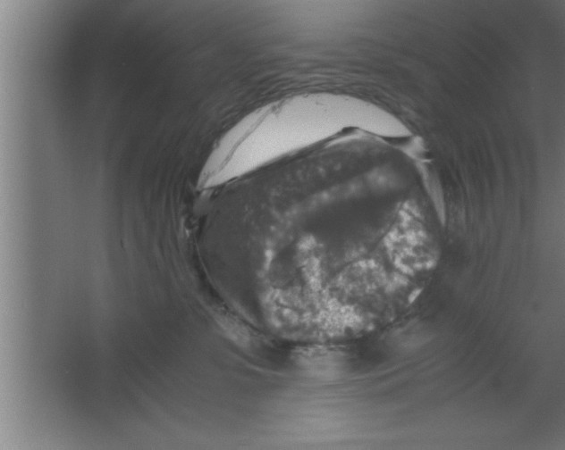 X0000067460331200604281835