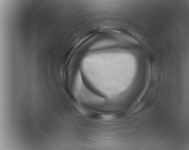 X0000067460333200604281834