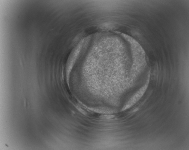 X0000067460334200604281834