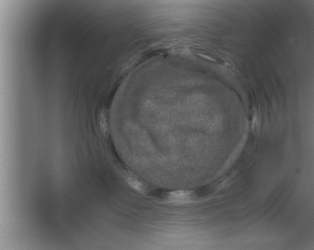 X0000067460335200604281834