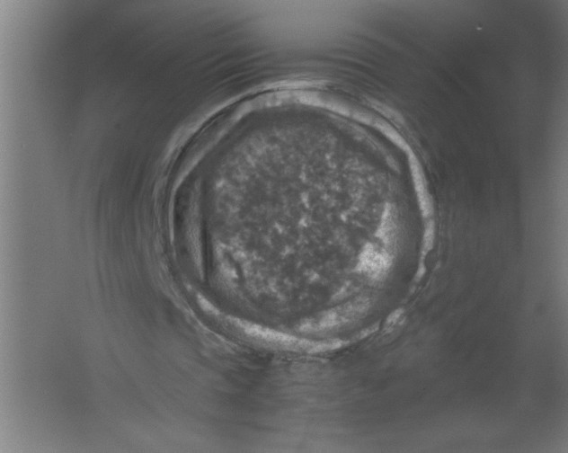 X0000067460337200604281834