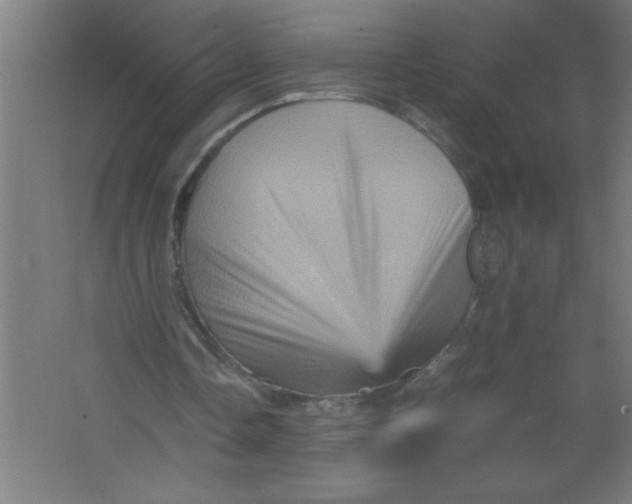 X0000067460338200604281834