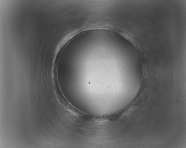 X0000067460340200604281834