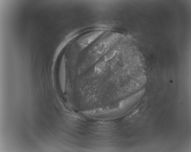 X0000067460343200604281834