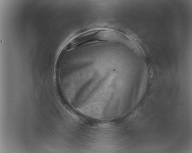 X0000067460344200604281834