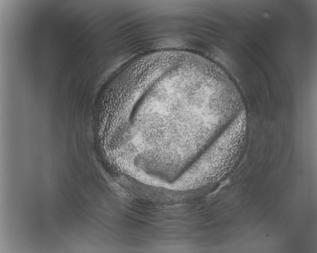 X0000067460345200604281834