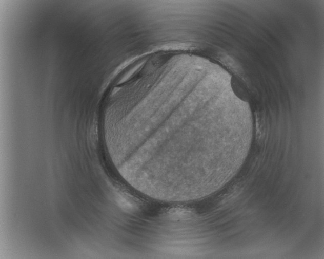 X0000067460348200604281834