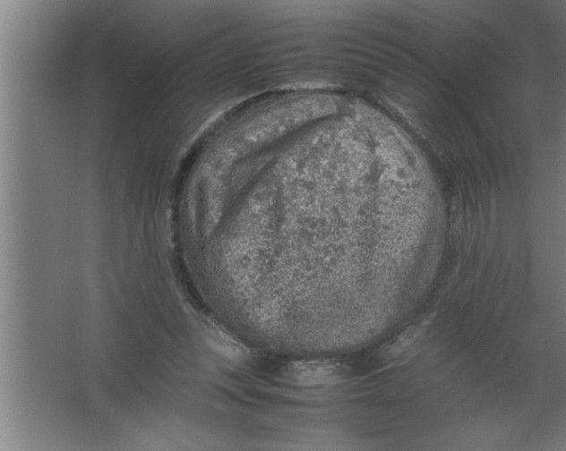 X0000067460351200604281834