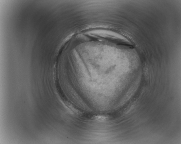 X0000067460352200604281834