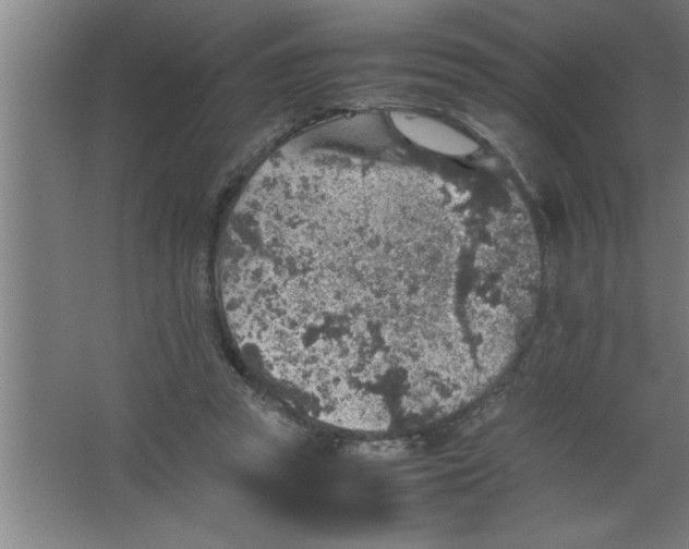 X0000067460353200604281834