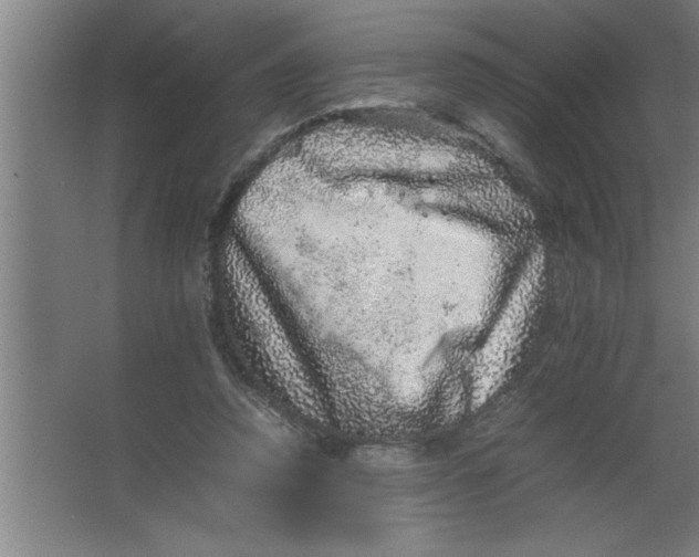 X0000067460354200604281834