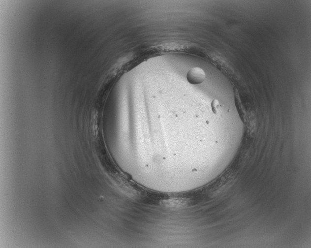 X0000067460356200604281834