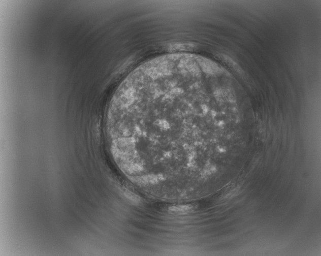 X0000067460357200604281834