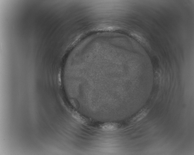 X0000067460358200604281834