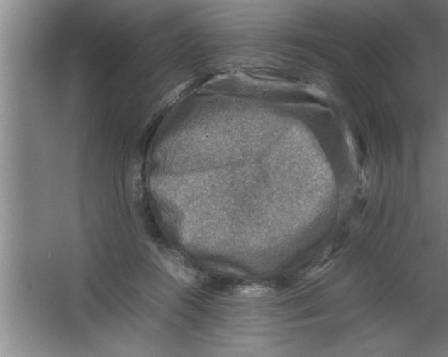 X0000067460360200604281834