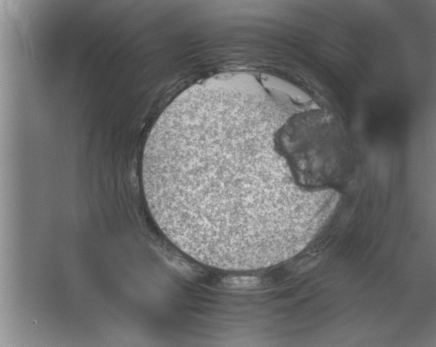 X0000067460361200604281834