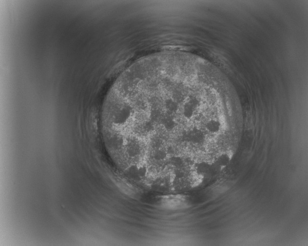 X0000067460363200604281834