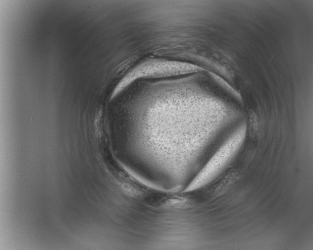 X0000067460364200604281834