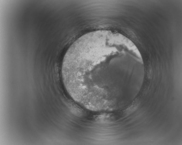 X0000067460366200604281834