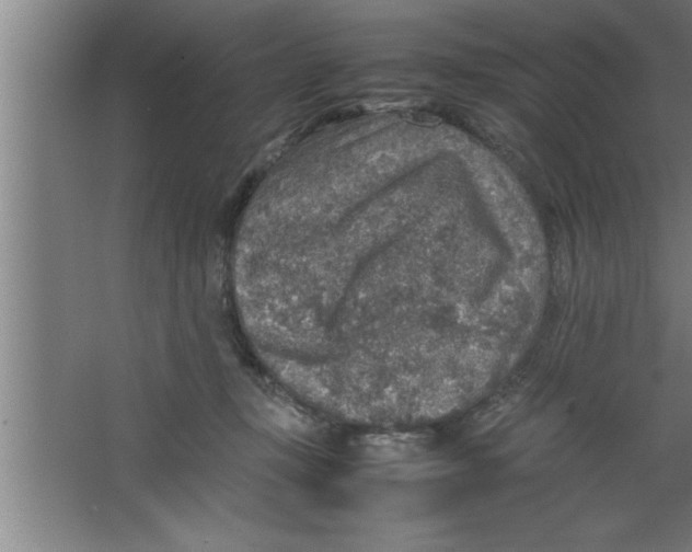 X0000067460367200604281834