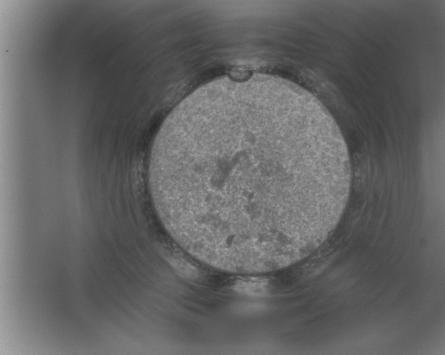 X0000067460369200604281834