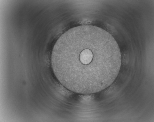 X0000067460370200604281834