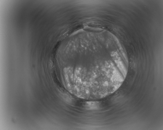 X0000067460371200604281834