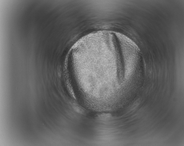 X0000067460374200604281834