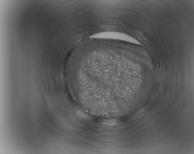 X0000067460377200604281834