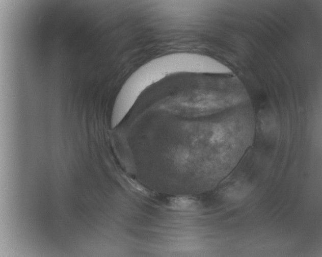 X0000067460380200604281834