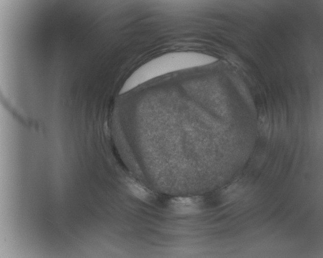 X0000067460381200604281834