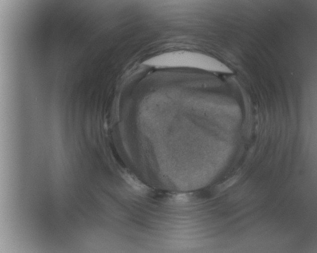 X0000067460382200604281834