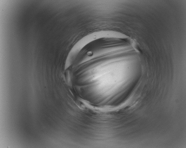 X0000067460384200604281834