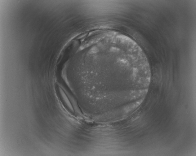 X0000067460386200604281834