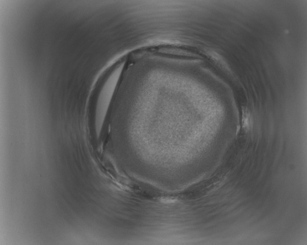 X0000067460388200604281834