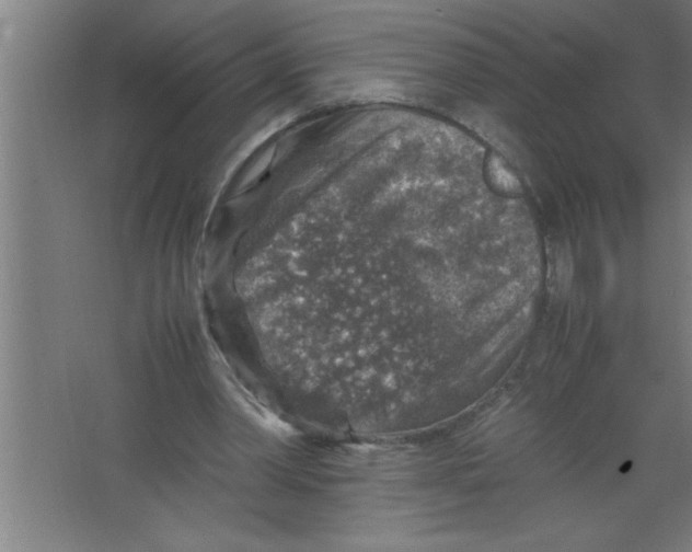 X0000067460390200604281834